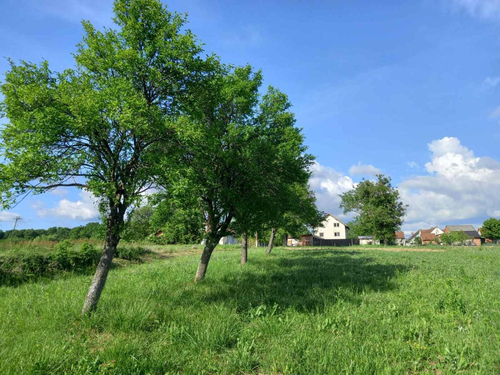 Kuca Za Odmor Holiday House Akord, Marindvor Pozega Zewnętrze zdjęcie